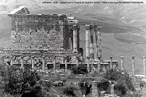 1- Djemila 1938. Cigogne sur le Temple de Septime-Severe